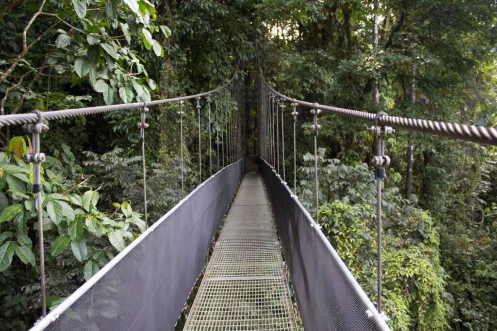 COSTA RICA, PURA VIDA