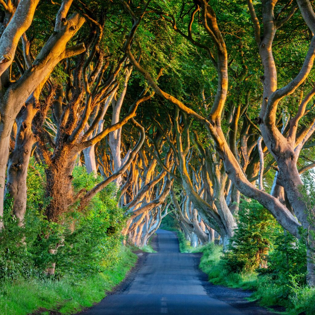 MARAVILLAS EN IRLANDA