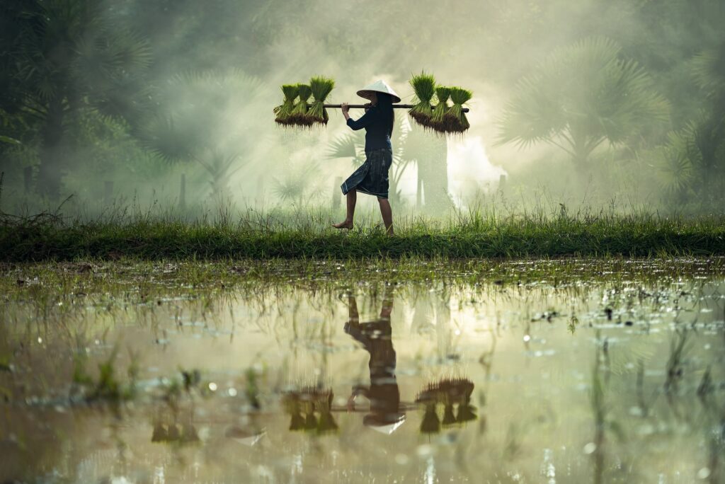 VIETNAM, DE NORTE A SUR
