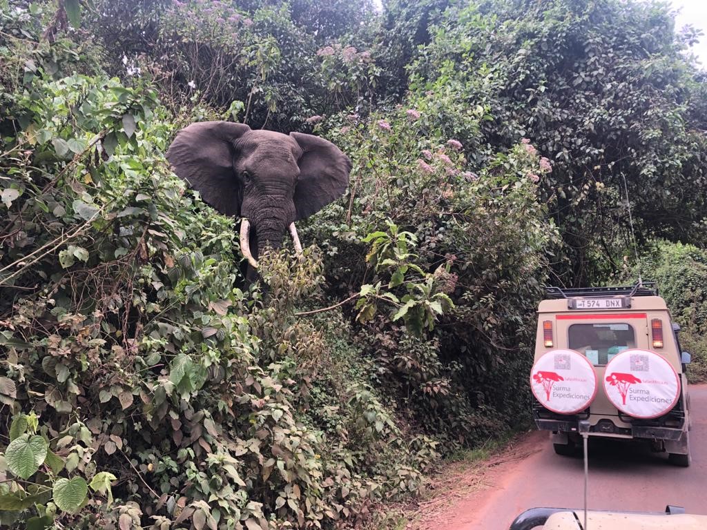 TANZANIA MASAI