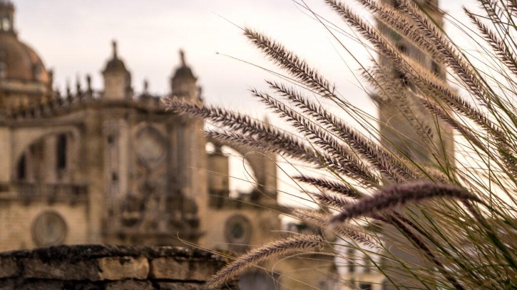 CÁDIZ, PUEBLOS BLANCOS